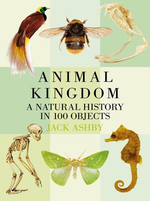 cover image of Animal Kingdom